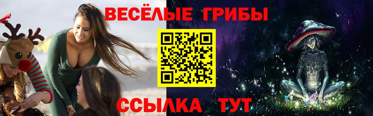 Анжеро-Судженск  Галлюциногенные грибы MAGIC MUSHROOMS  Вход с VPN  Галлюциногенные грибы MAGIC MUSHROOMS 